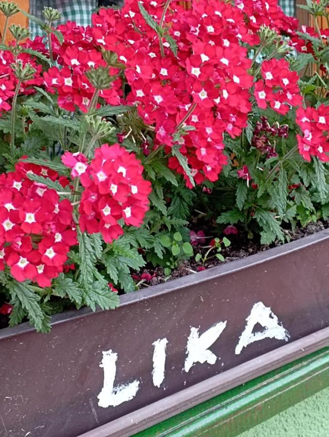 Ivona - Kuca Za Odmor Perusic - Stara Lika Apartment Exterior photo